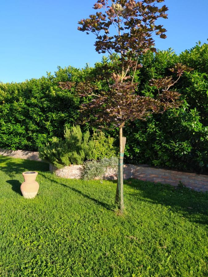 Soggiorno In Relax Correggioverde المظهر الخارجي الصورة