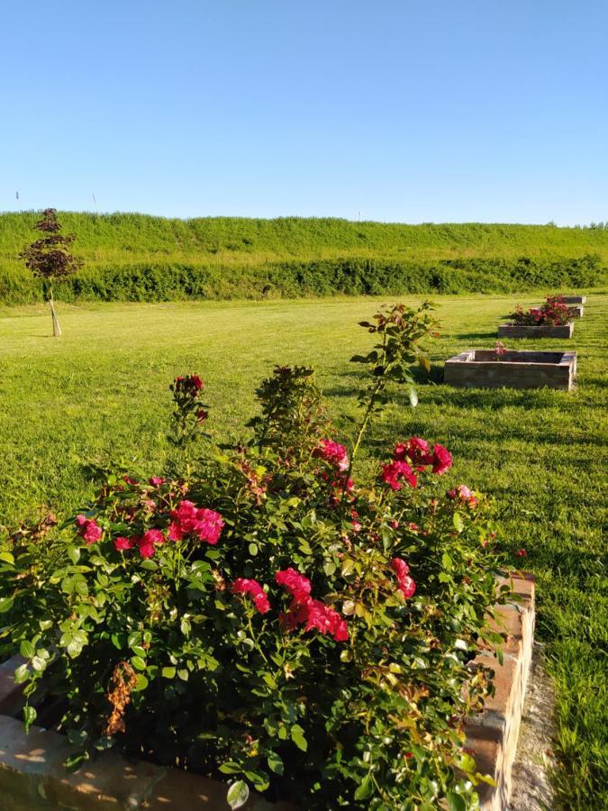 Soggiorno In Relax Correggioverde المظهر الخارجي الصورة